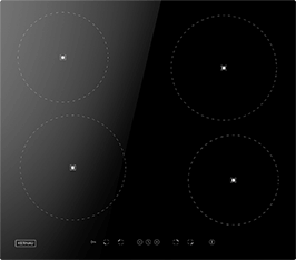 Induktionsfeld Reparatur Melle